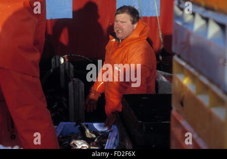 Les pêcheurs de morue au travail sur l'île de Borholm, Danemark Banque D'Images