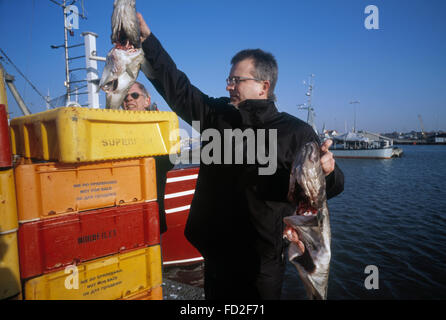 Les pêcheurs de morue au travail sur l'île de Borholm, Danemark Banque D'Images