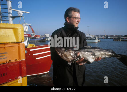 Les pêcheurs de morue au travail sur l'île de Borholm, Danemark Banque D'Images