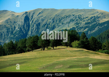 Kachetien Tuscheti-Nationalpark Georgien,,, Omalo, Weiden auf der Hochebene Banque D'Images