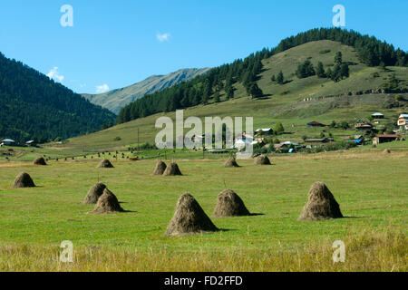 Kachetien Tuscheti-Nationalpark Georgien,,, Omalo Banque D'Images