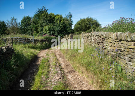 Une piste rurale agricole dans la campagne anglaise sur une journée ensoleillée. Banque D'Images