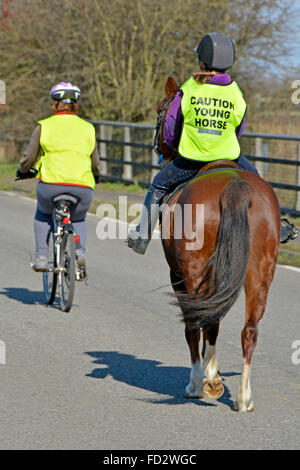 Jeune Cheval et cavalier wearing high vis message gilet avec cheval compagnon le long de cycle country lane bridge Banque D'Images