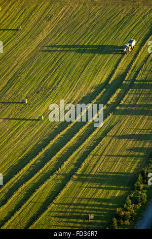 Vue aérienne, agriculteur, fermier à la foin, ensilage, les balles, les défriseurs avec presse à balles rondes, Brilon, Sauerland, Rhénanie du Nord-Westphalie Banque D'Images