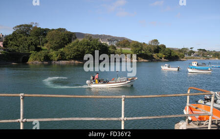 Pêcheur au langoustier de quitter le port de Schull, West Cork, Irlande. Banque D'Images