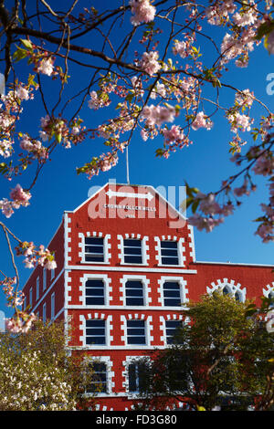 Des fleurs et des usines de l'État historique des capacités, Dunedin, Otago, île du Sud, Nouvelle-Zélande Banque D'Images