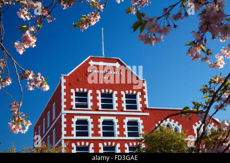 Des fleurs et des usines de l'État historique des capacités, Dunedin, Otago, île du Sud, Nouvelle-Zélande Banque D'Images