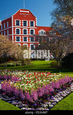 Les fleurs du printemps et de l'État historique des moulins, Dunedin, Otago, île du Sud, Nouvelle-Zélande Banque D'Images
