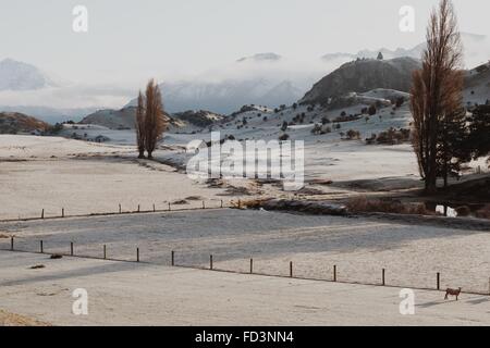 Crisp et frosty tôt le matin plus de fermes et de collines en Wanaka , Nouvelle-Zélande. Banque D'Images