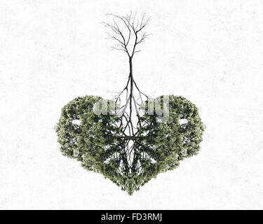 Image conceptuelle de l'arbre vert en forme de coeur Banque D'Images