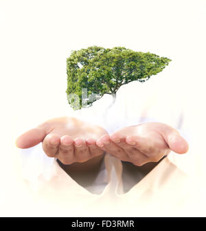 Image conceptuelle de l'arbre vert en forme de foie humain Banque D'Images