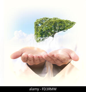 Image conceptuelle de l'arbre vert en forme de foie humain Banque D'Images