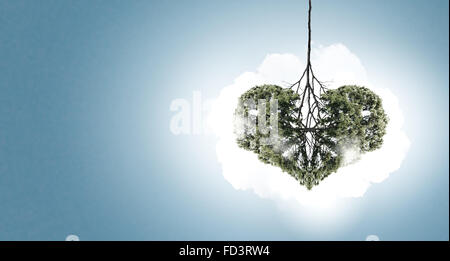 Image conceptuelle de l'arbre vert en forme de coeur Banque D'Images