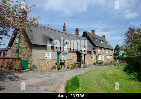 Cottages en pierre, Ashby St grands livres, Northamptonshire, Angleterre Banque D'Images