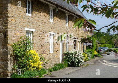 Cottages en pierre, Ashby St grands livres, Northamptonshire, Angleterre Banque D'Images