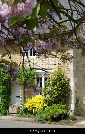 Cottages en pierre, Ashby St grands livres, Northamptonshire, Angleterre Banque D'Images