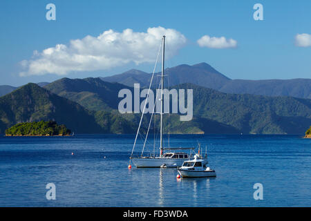 Bateaux amarrés dans le port de Picton, Marlborough Sounds, île du Sud, Nouvelle-Zélande Banque D'Images