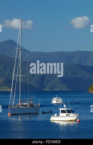 Bateaux amarrés dans le port de Picton, Marlborough Sounds, île du Sud, Nouvelle-Zélande Banque D'Images