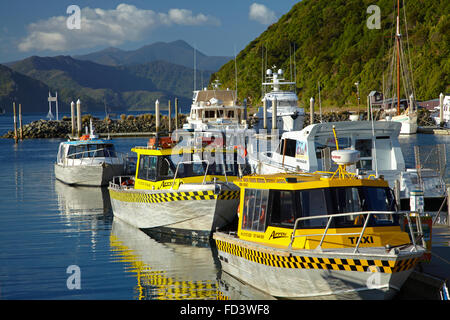 Les taxis de l'eau, port de Picton, Marlborough Sounds, île du Sud, Nouvelle-Zélande Banque D'Images