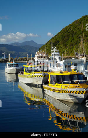 Les taxis de l'eau, port de Picton, Marlborough Sounds, île du Sud, Nouvelle-Zélande Banque D'Images