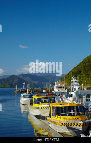 Les taxis de l'eau, port de Picton, Marlborough Sounds, île du Sud, Nouvelle-Zélande Banque D'Images