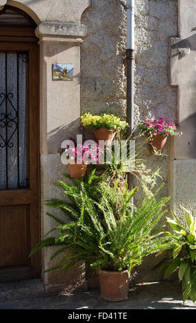 Fleurs et fern en pots de terre cuite sur un après-midi ensoleillé le 24 juillet 2015 à Valldemossa, Majorque, Iles Baléares, Espagne. Banque D'Images