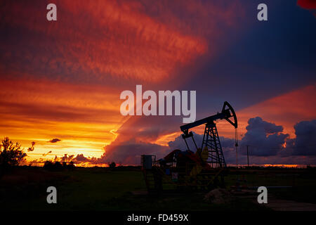 Les derricks de pétrole sur fond de magnifique coucher de soleil, Kaliningrad, Russie Banque D'Images