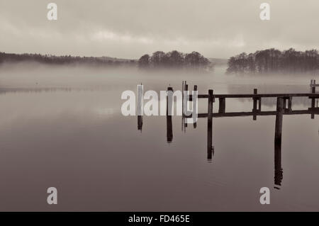 Tourné en noir et blanc de brume sur un lac à Gammel Ry, Danemark Banque D'Images