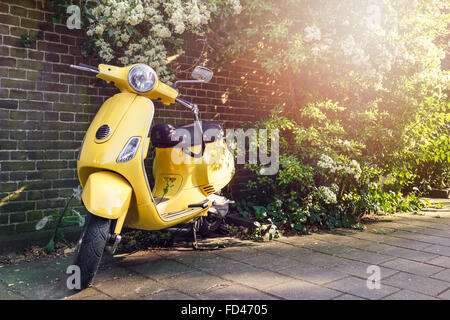 Scooter jaune garée dans les rues d'Amsterdam près de la clôture en briques recouvertes de végétation Banque D'Images