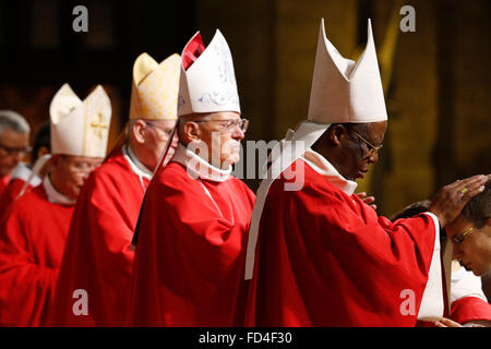 Prêtre ordinations à la cathédrale Notre-Dame de Paris. Banque D'Images