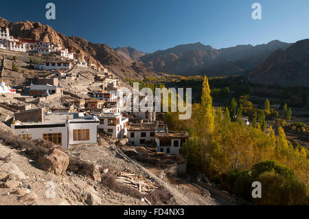 Temple bouddhiste Phyang Gompa appartient à la section rouge de chapeau de bouddhisme, Ladakh, Inde Banque D'Images