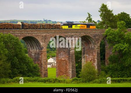 Colas Rail Freight train tirant des grumes sur viaduc Beck à sec, Armathwaite, Eden Valley, Cumbria, England, UK. Banque D'Images