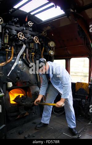 Stoker alimenter le feu fort de LMS train à vapeur classe couronnement Princesse 46233 la duchesse de Sutherland. Banque D'Images