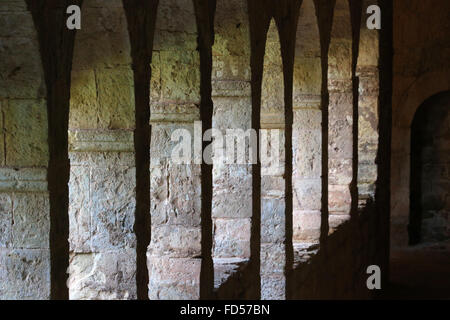 Le Thoronet, abbaye cistercienne de Le Thoronet, abbaye Cistercienne du 12ème siècle en Provence. Le cloître. Banque D'Images