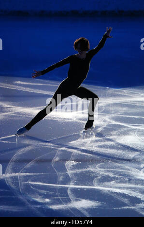 Soirée de gala de patinage artistique. L'équipe française. Marie-Pierre Levray. Saint-Gervais les bains. La France. Banque D'Images