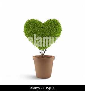 Image de plante en pot en forme de coeur Banque D'Images