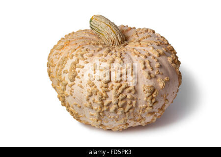 Citrouille d'arachides fraîches entières sur fond blanc Banque D'Images