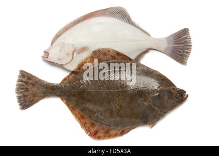 Avant et l'arrière de l'effondre sur fond blanc Banque D'Images