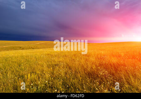 Coucher de soleil sur la steppe spectaculaire Banque D'Images