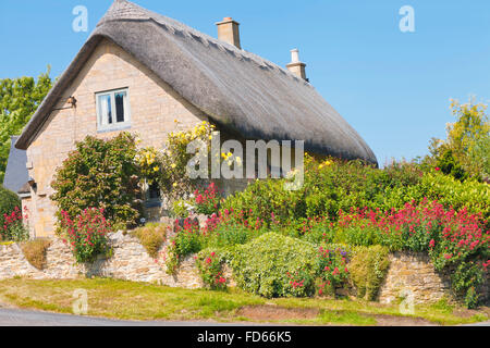 Toit de chaume traditionnel anglais Cotswold cottage en pierre dorée avec des roses jaunes sur le mur et les fleurs rouges dans le jardin Banque D'Images