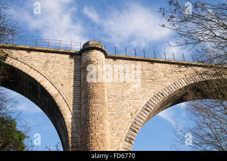 Une vue d'une des piles du pont Victoria ou viaduc ferroviaire sur la rivière Wear à Washington, North East England UK Banque D'Images