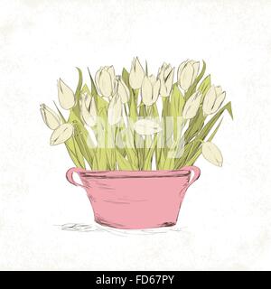 Hand drawn printemps tulipe fleurs en pot vintage. Vector illustration Illustration de Vecteur