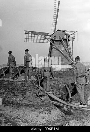 Camp de travail frise 1942 Banque D'Images