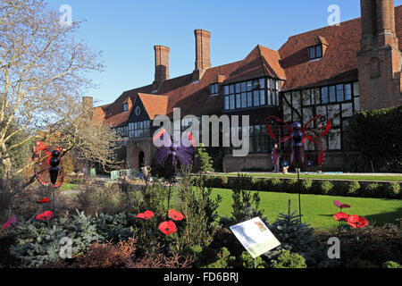 Wisley, Surrey, Angleterre, Royaume-Uni. 28 janvier 2016. Les papillons sont de retour au RHS Wisley avec plus d'espèces que jamais. La chrysalide (ou nymphe) conversion dans la pupe dans papillons exotiques et sont ensuite libérés à voler entre les plantes et les gens dans la chaleur tropicale de la serre. Ils seront à l'affiche jusqu'au 6 mars. Credit : Julia Gavin UK/Alamy Live News Banque D'Images