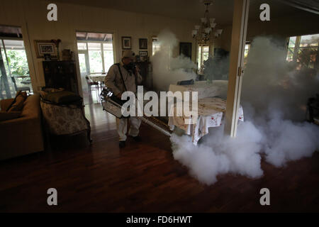 La ville de Panama, Panama. 28 janvier, 2016. Un employé du ministère de la santé sprays anti-moustique le brouillard à Panama City, capitale du Panama, le 28 janvier 2016. Le Panama de la Santé a confirmé 42 cas de la virus Zika au Panama jusqu'à ce que le 23 janvier 2016, principalement dans la région de Guna Yala les populations autochtones. L'Organisation mondiale de la Santé (OMS) le jeudi a dit qu'il convoquerait un Règlement Sanitaire International comité d'urgence sur la Zika virus pour vérifier si l'épidémie constitue une urgence de santé publique. Credit : Mauricio Valenzuela/Xinhua/Alamy Live News Banque D'Images