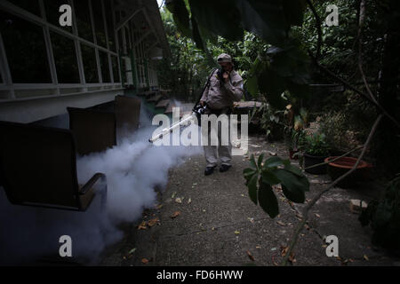 La ville de Panama, Panama. 28 janvier, 2016. Un employé du ministère de la santé sprays anti-moustique le brouillard à Panama City, capitale du Panama, le 28 janvier 2016. Le Panama de la Santé a confirmé 42 cas de la virus Zika au Panama jusqu'à ce que le 23 janvier 2016, principalement dans la région de Guna Yala les populations autochtones. L'Organisation mondiale de la Santé (OMS) le jeudi a dit qu'il convoquerait un Règlement Sanitaire International comité d'urgence sur la Zika virus pour vérifier si l'épidémie constitue une urgence de santé publique. Credit : Mauricio Valenzuela/Xinhua/Alamy Live News Banque D'Images