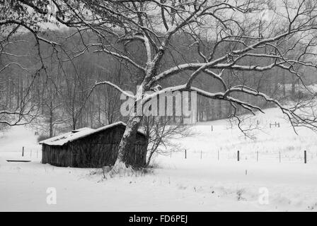 Belle photo d'une vieille grange en bois dans un champ neigeux. Banque D'Images