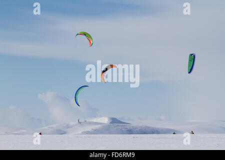 Mars 2015, Berlevåg, Norvège : les concurrents au début de l'Arctique de Varanger Kite Enduro. Banque D'Images