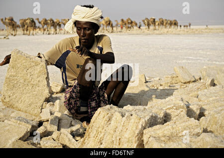 Travailleur de l'Afrique de l'extraction du sel du lac Assale, dépression Danakil, région Afar, Ethiopie Banque D'Images