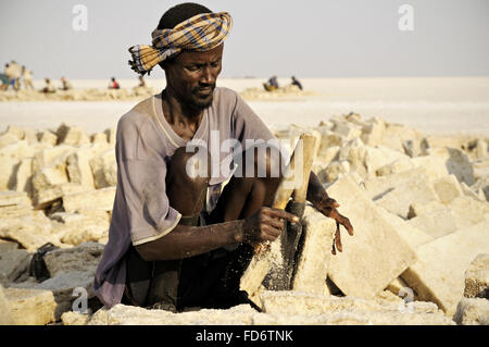 Loin de l'extraction du sel de travailleur lac Assale, dépression Danakil, région Afar, Ethiopie Banque D'Images